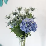 Azzurra