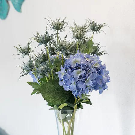 Azzurra